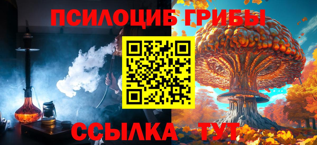 Галлюциногенные грибы мицелий Кимры