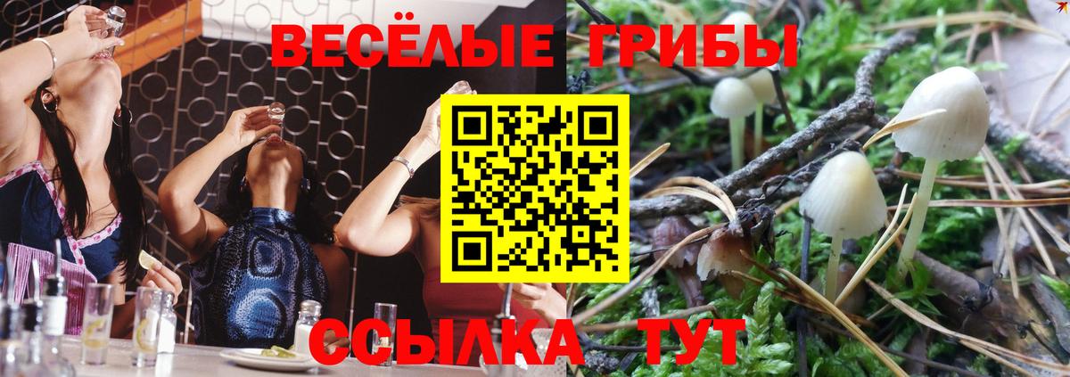 Кимры  наркота  Вход с VPN  Псилоцибиновые грибы мицелий 